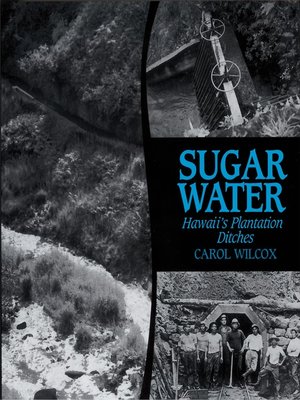 cover image of Sugar Water